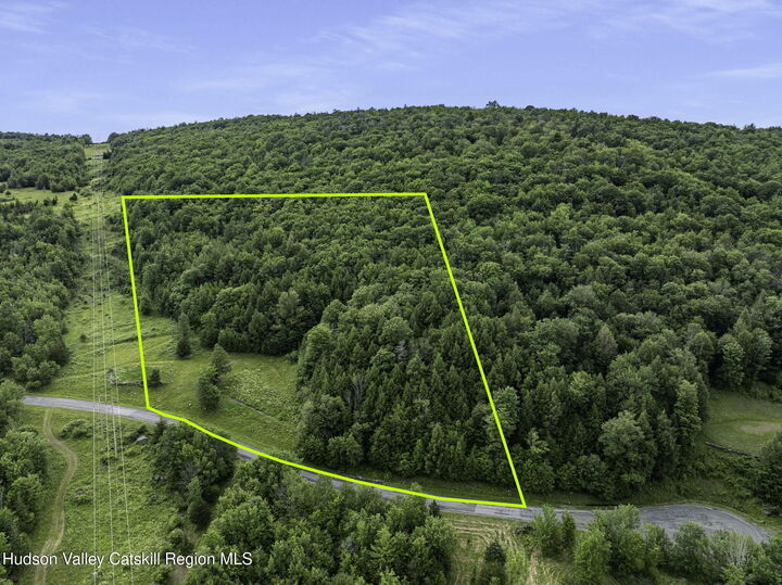 Property Photo: L28.1 Deer NY 12452