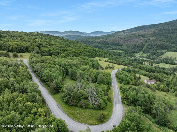 Property Photo: L40 Overlook NY 12452