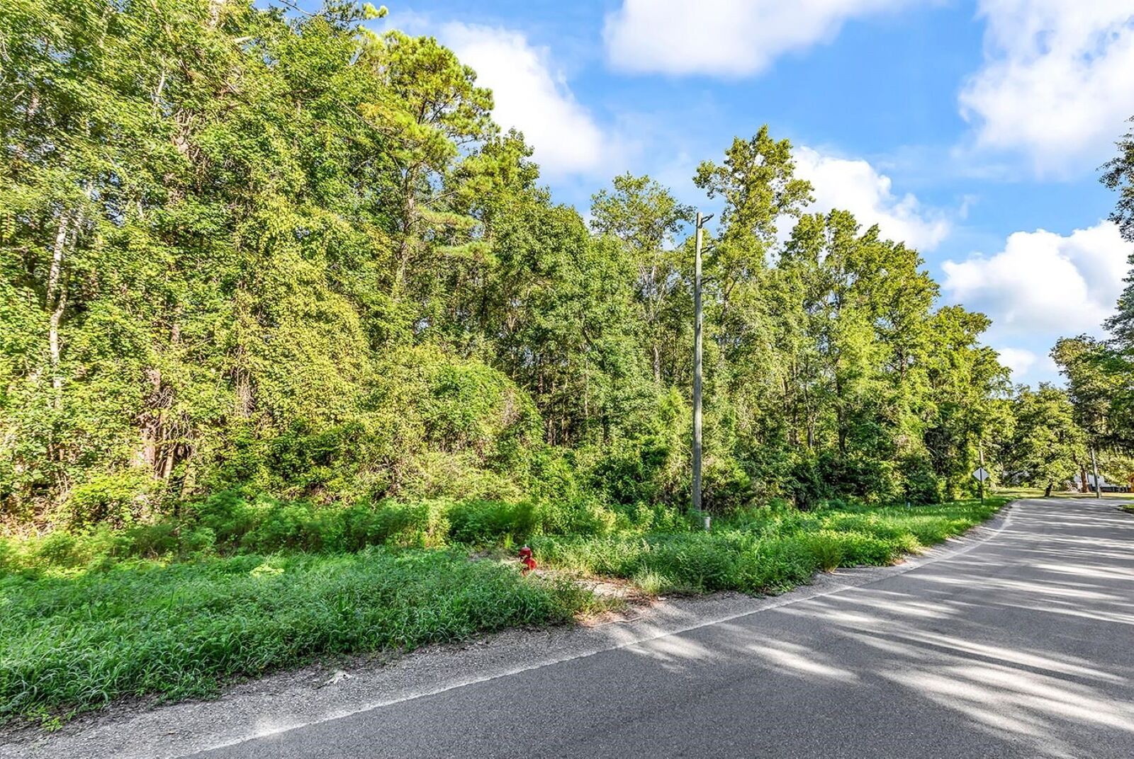 Property Photo: Tbd Lyons Ln. SC 29568