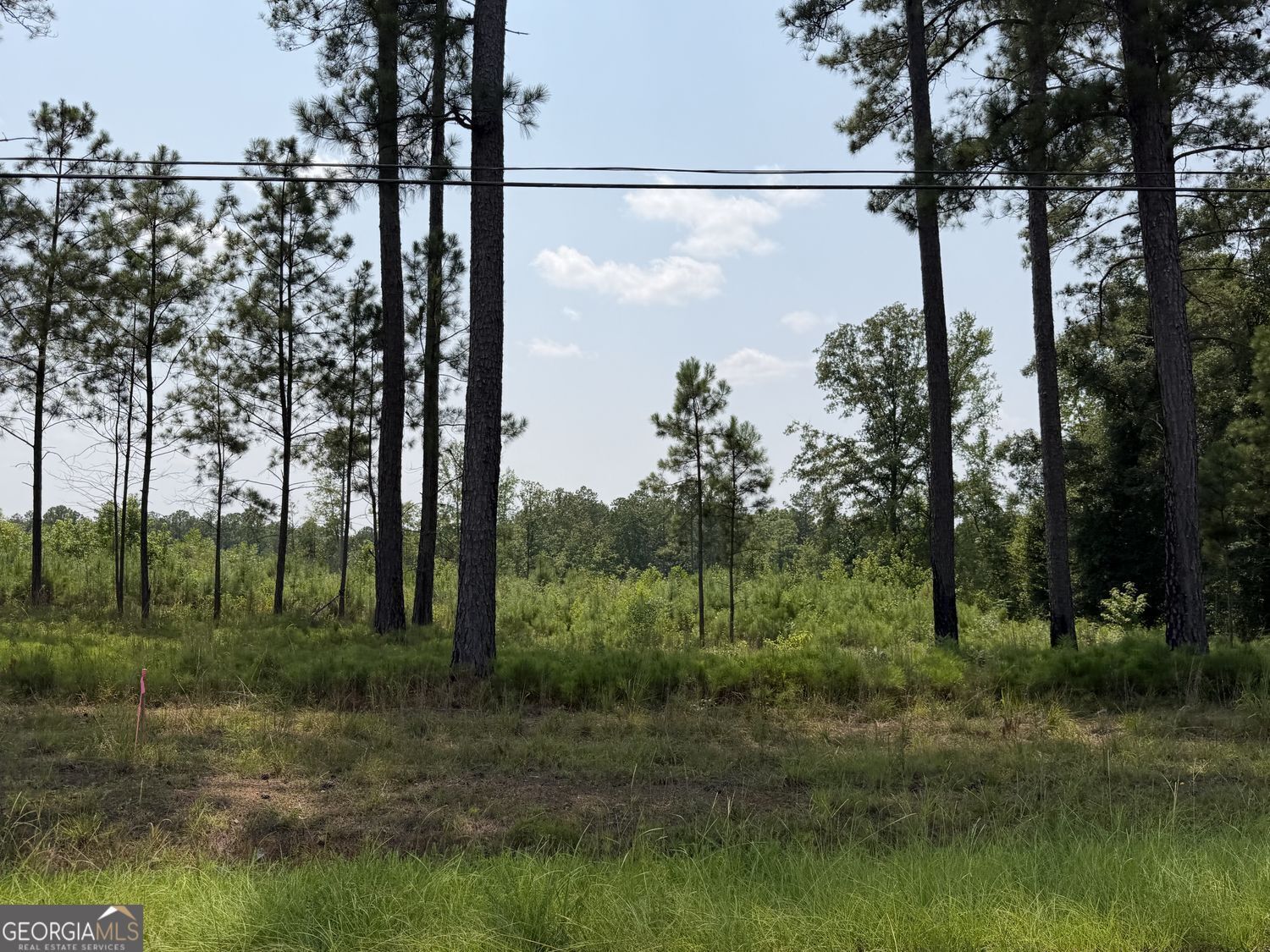 Property Photo: 704 Giles Road GA 31029