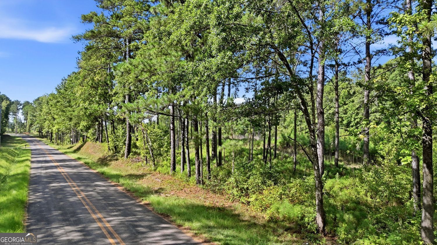 Property Photo: 682 Giles Road GA 31029