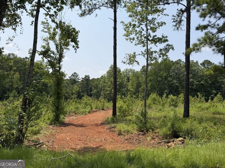 Property Photo: 1130 Giles Road GA 31029