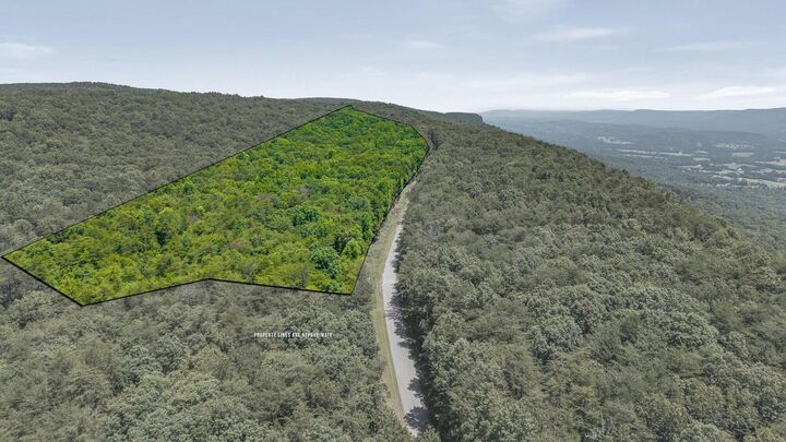 Property Photo: 41.04ac Windridge Drive TN 37327