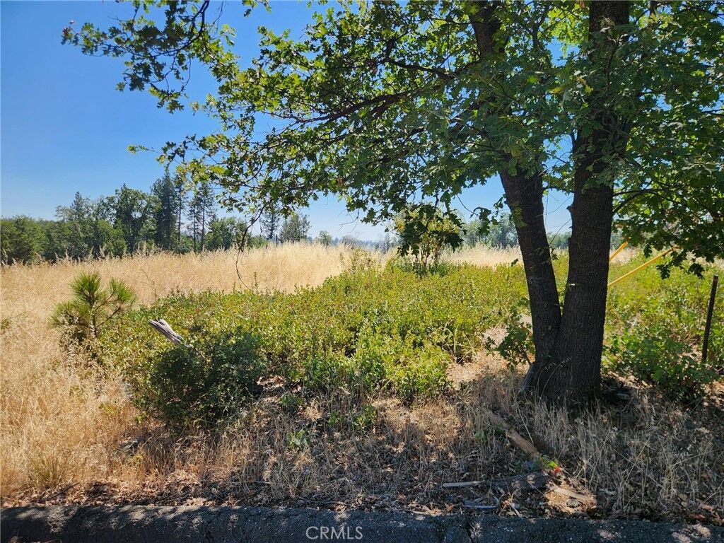 Property Photo:  13602 Andover  CA 95954 