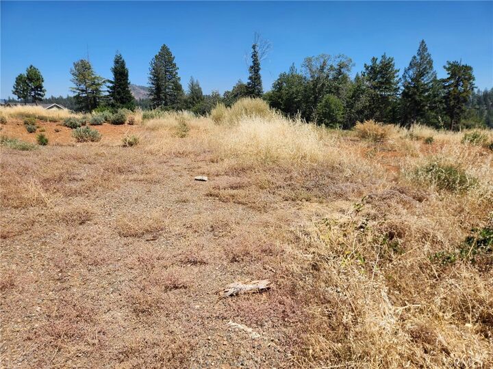 Property Photo:  13600 Andover  CA 95954 