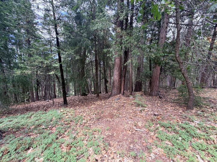 Property Photo:  5 Debron Court  CA 95726 