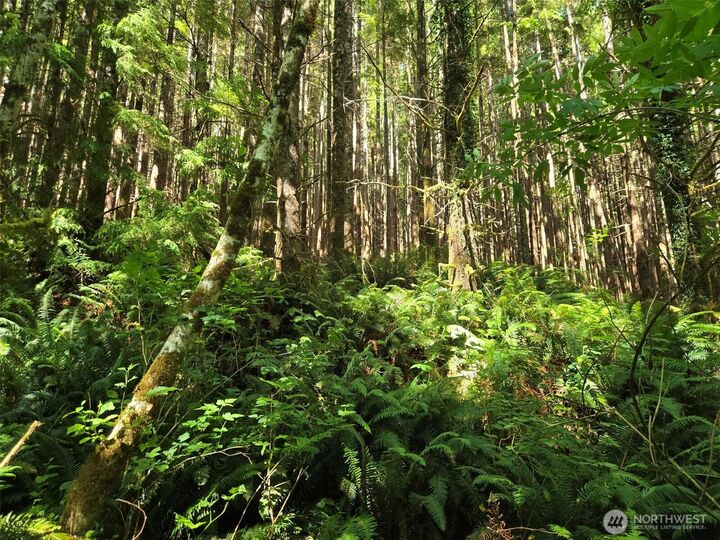Property Photo:  0 Nka  S.r. 109 Spur  WA 98550 