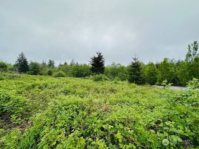 Property Photo: 4311 Bethel Road SE WA 98366