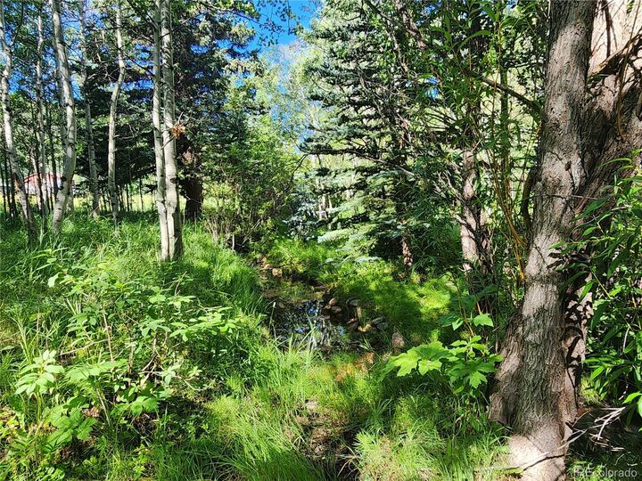 Property Photo: 531 Caribou Road CO 80466