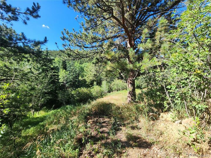 Property Photo:  531 Caribou Road  CO 80466 
