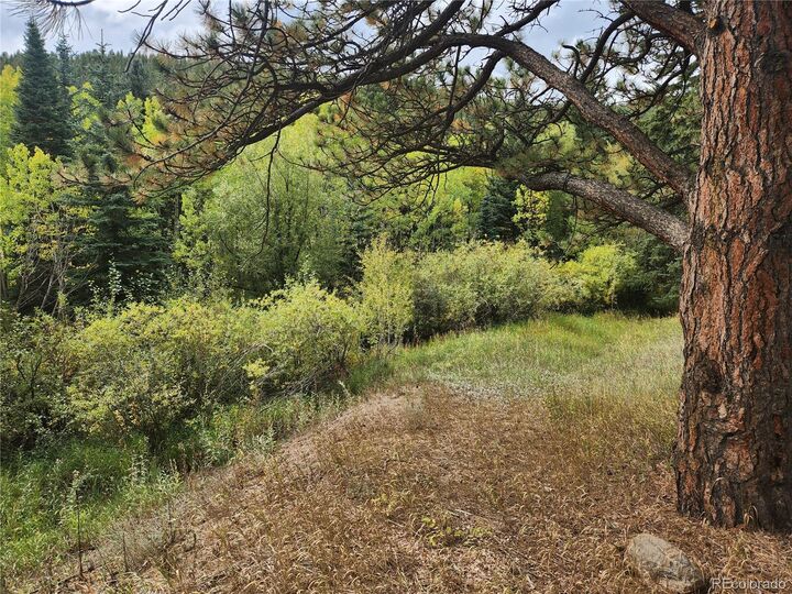Property Photo:  531 Caribou Road  CO 80466 