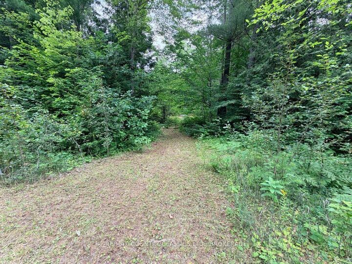 Property Photo: 663 Skootamatta Lake Road ON K0H 1K0