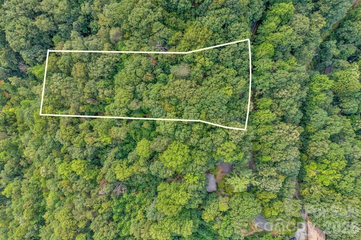 Property Photo: 00 Hogback Mountain Road 63 NC 28782