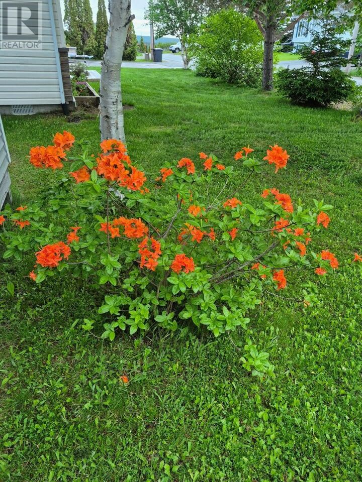 Property Photo:  3 Steadyview Drive  NL A0G 2L0 
