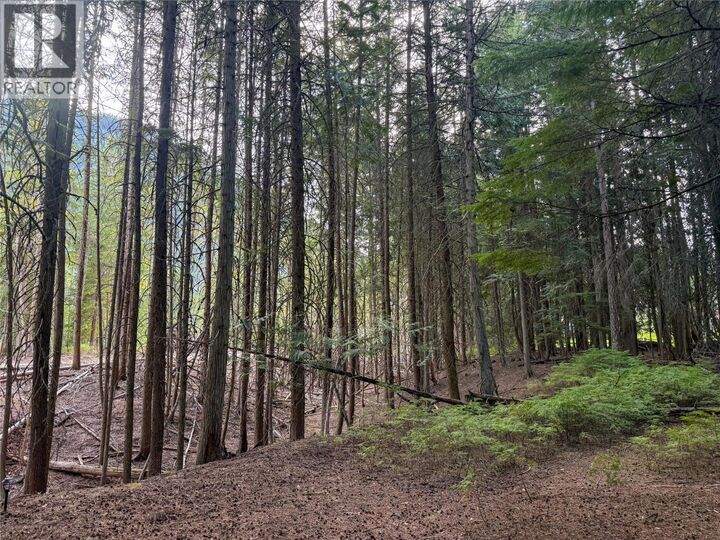 Property Photo:  3945 Saunders Road  BC V0G 2J0 