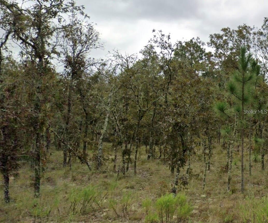 Property Photo: NE 11th Street FL 32696