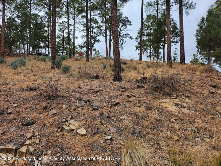Property Photo: 138 King Richard Drive NM 88345