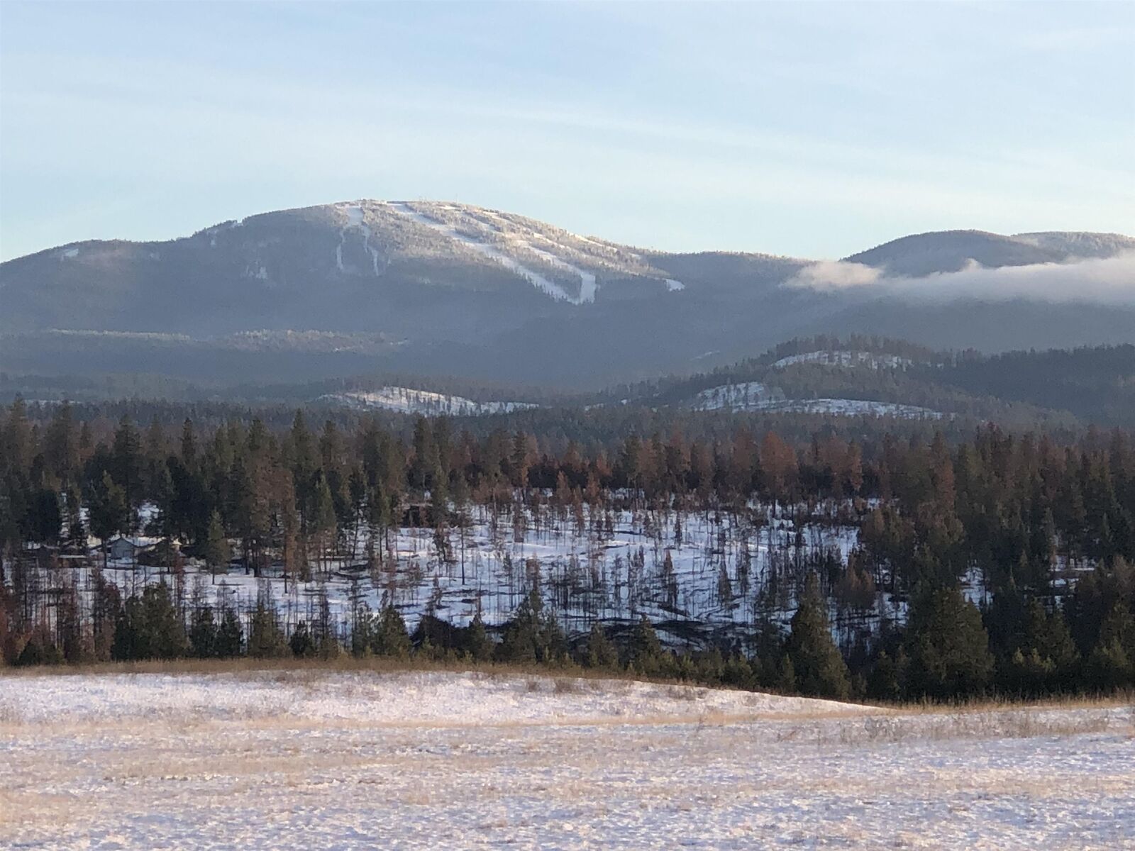 Property Photo: 41900 N Darknell Rd WA 99009