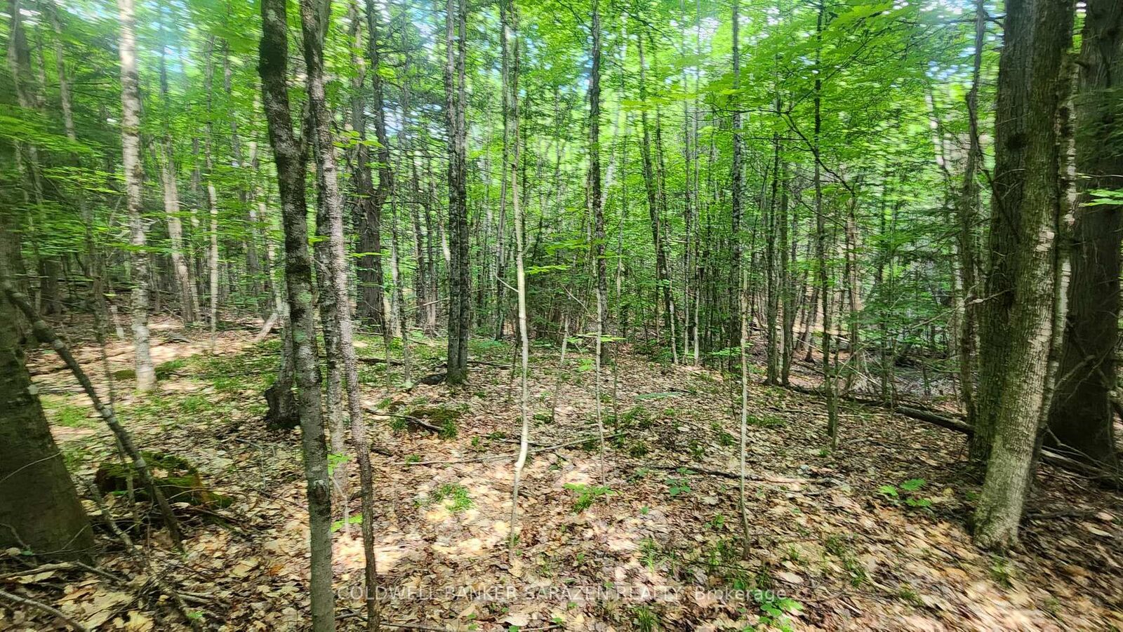 Property Photo:  00 Canaan Road  ON K7V 3Z4 