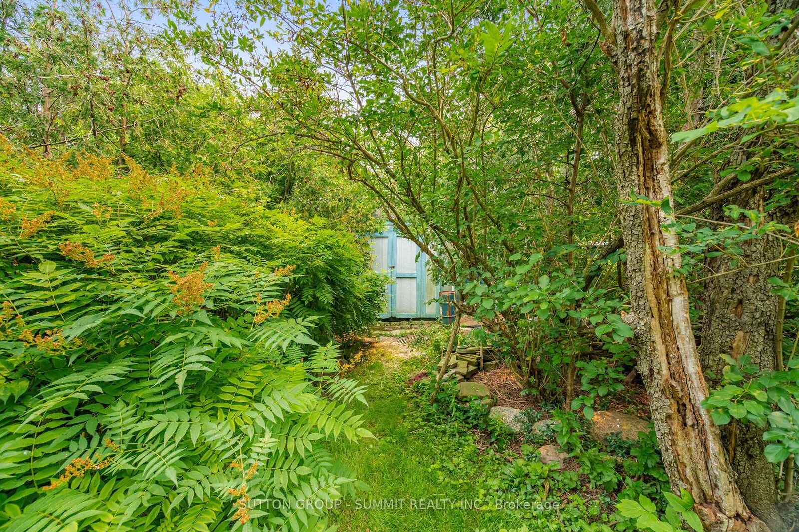 Property Photo:  25 Arch Road  ON L5M 1M4 