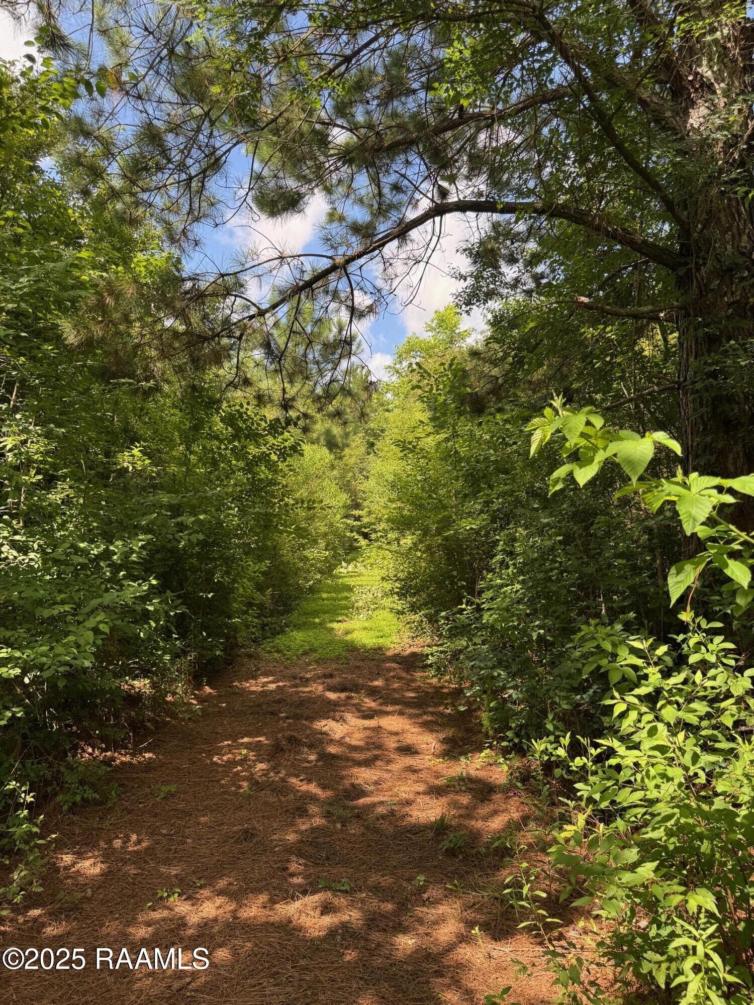 Property Photo: Tbd Lot 5 Frozard Road 5 LA 70512