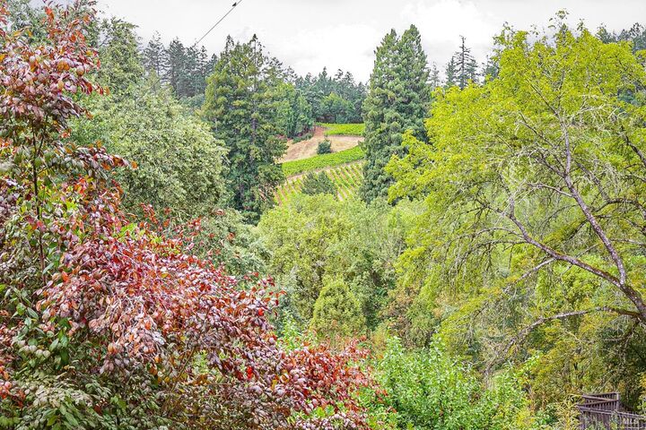 Property Photo: 9412 Westside Road CA 95436