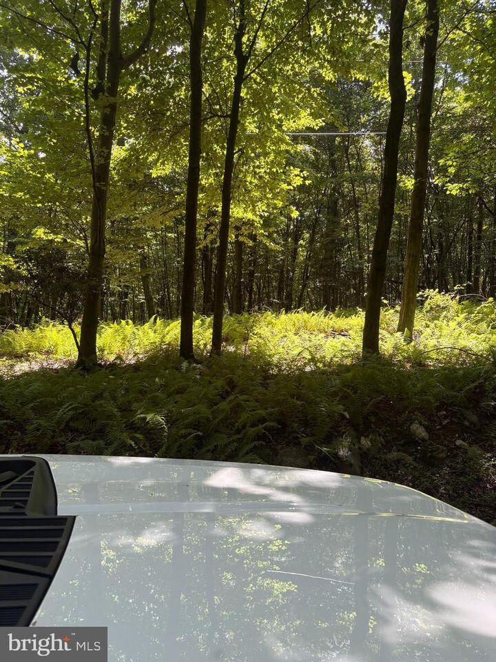Property Photo: Little Rock Road MD 21701