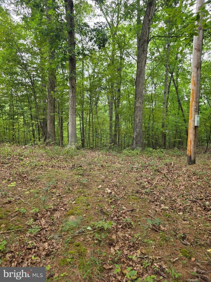 Property Photo: Pink Dogwood Lane WV 25427