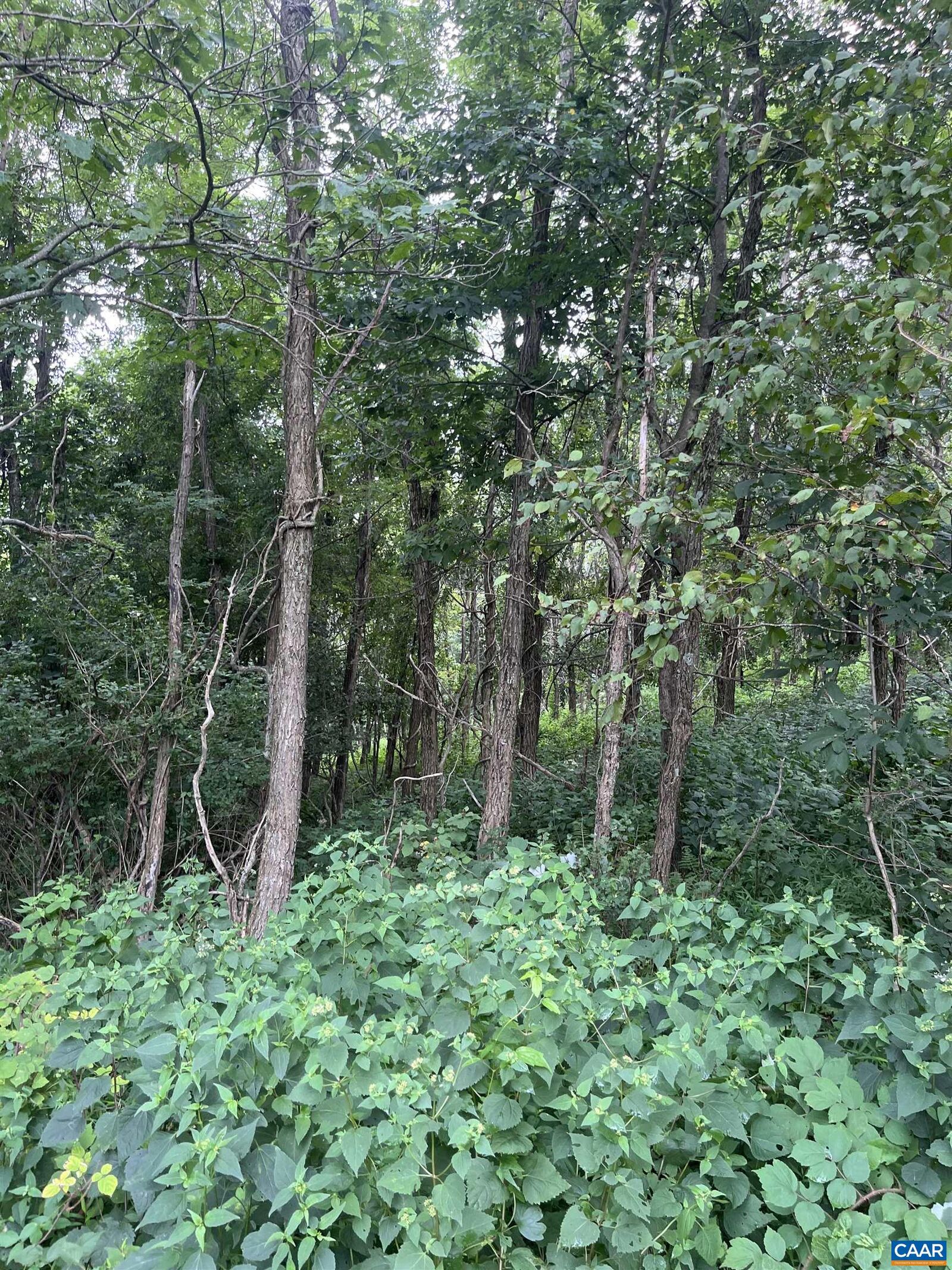 Property Photo:  Tbd Raven Way  VA 22940 