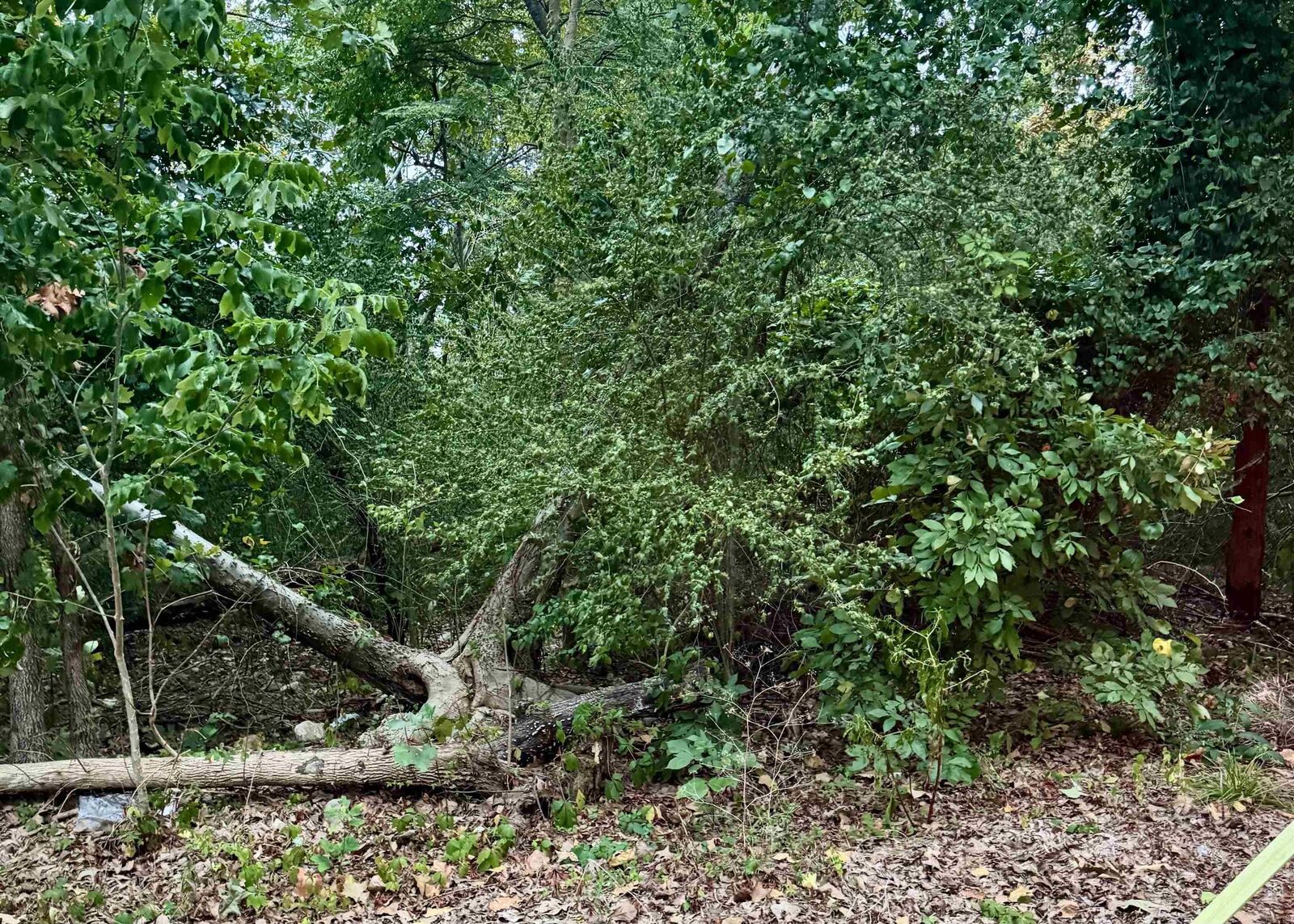 Property Photo: Lot 24 Lee Summit Dr. AR 72202