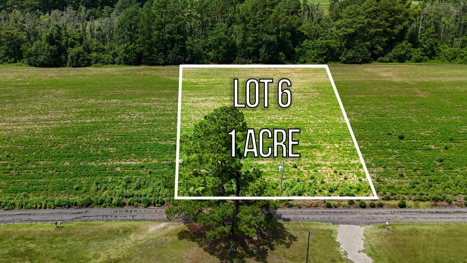 Property Photo: Lot 6 Ida Ln SC 29527