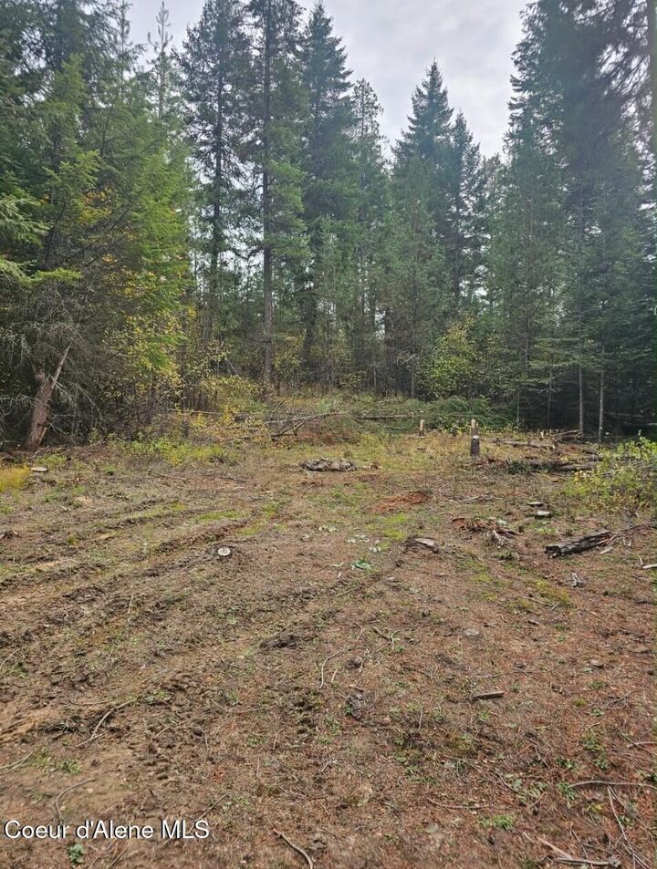 Property Photo:  821 Willow Loop Rd  ID 83830 