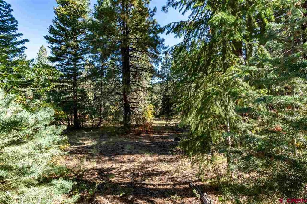Property Photo:  307 Nature's Way  CO 81147 