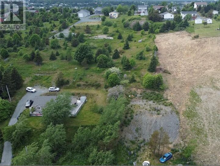 Property Photo:  101 Coley's Point South Road  NL A0A 1X0 
