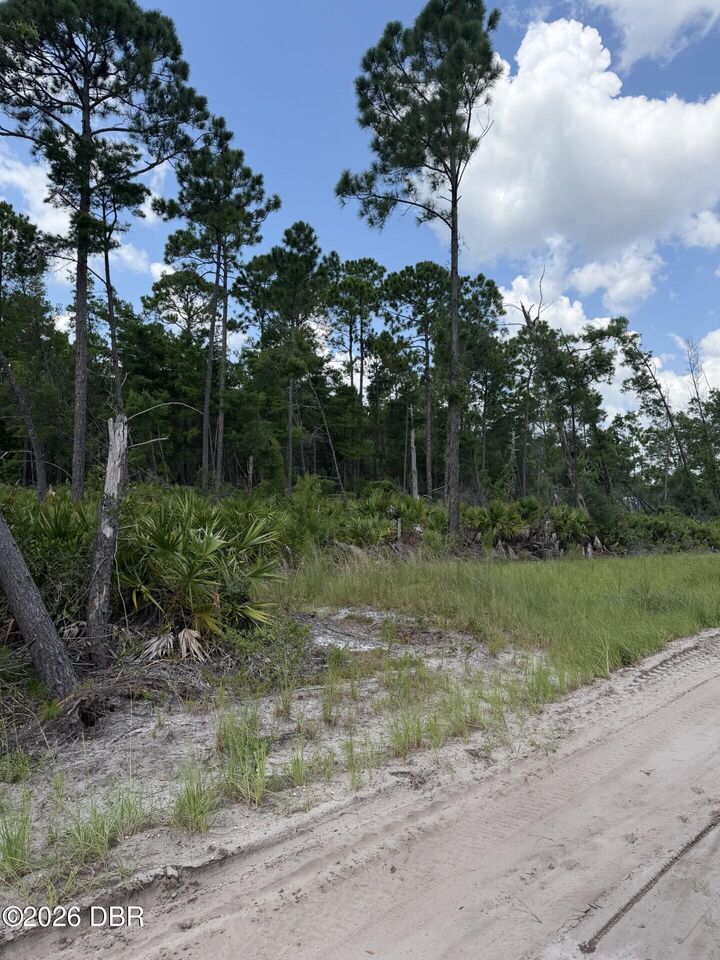 Property Photo:  00 Ridgehaven Avenue  FL 32174 