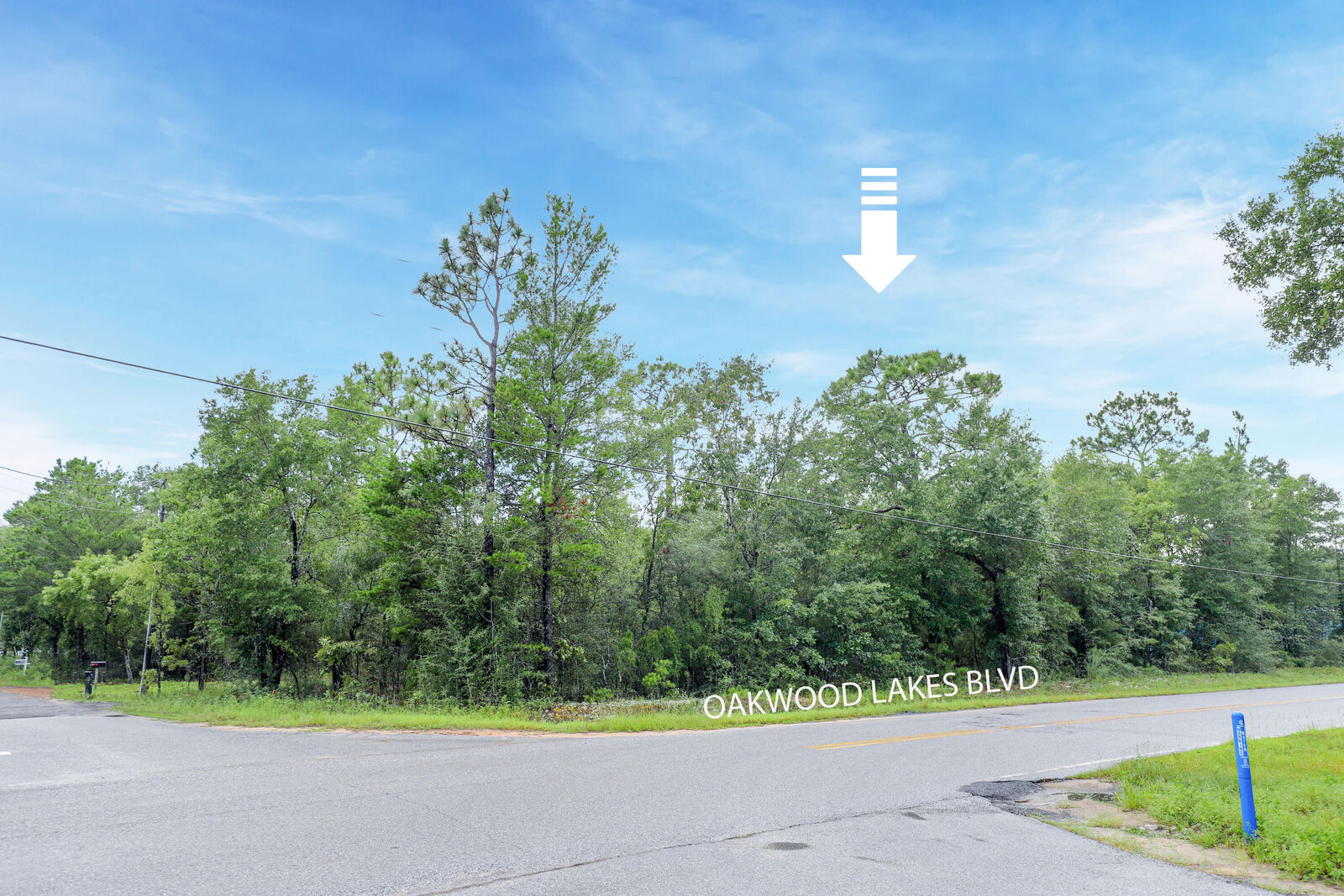 Property Photo: Lot 8 Oakwood Lakes Boulevard FL 32433