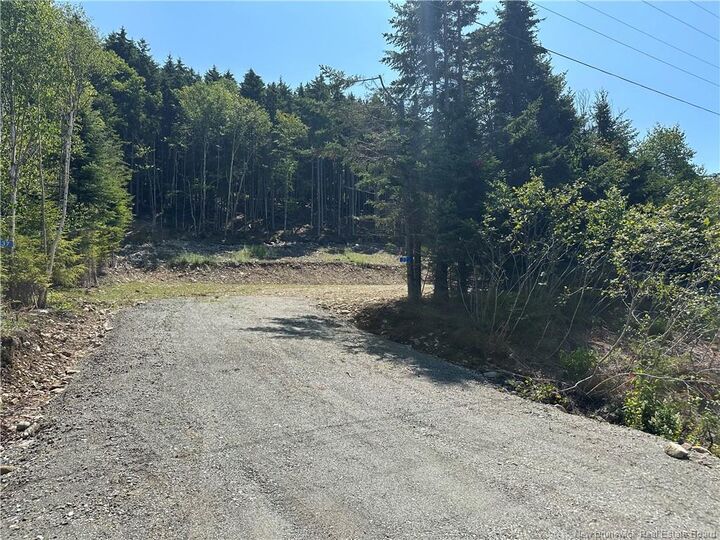37 Forest Drive — photo 1