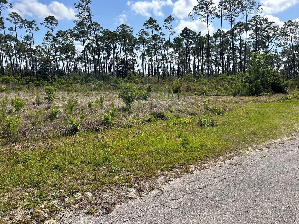 Property Photo: Tbd Olive Ave FL 32456