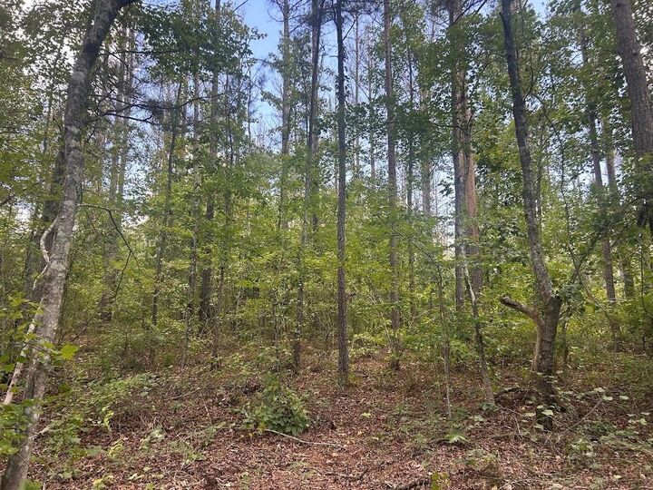 Property Photo:  111 Riversong (Tract 26)  GA 30117 