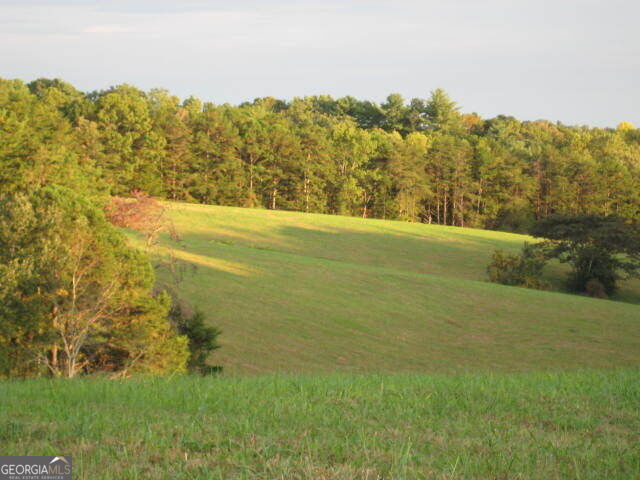 Property Photo:  305 Laurel Springs/Opossum  SC 29664 