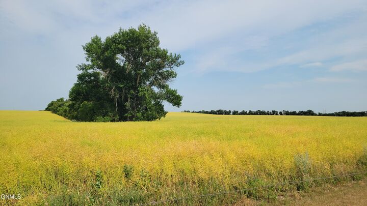 Property Photo:  Tracts 4&5 66th Street SE  ND 58501 