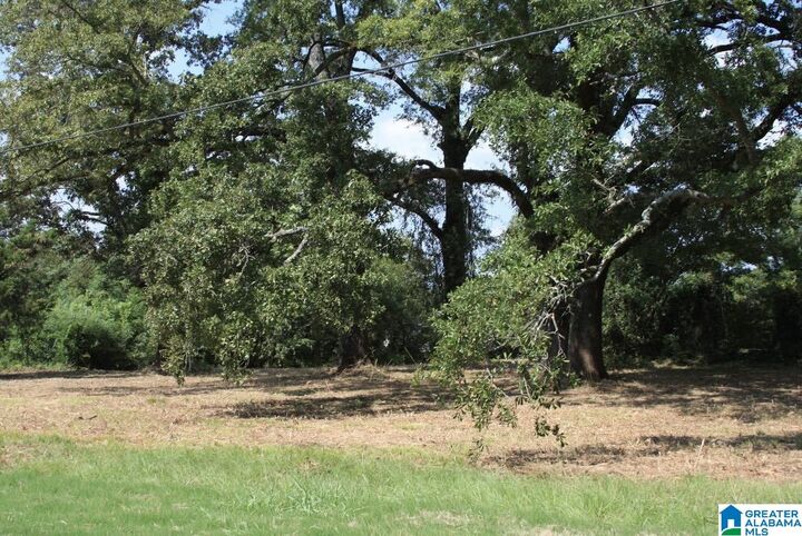 Property Photo: 5714 Smokey Road 0 AL 35040