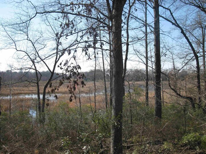 Property Photo:  Tbd 133+/- Acres County Road 4701  TX 75754 