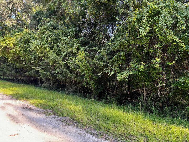 Property Photo: SW Fox Place Lots 38 &Amp 39 FL 32038