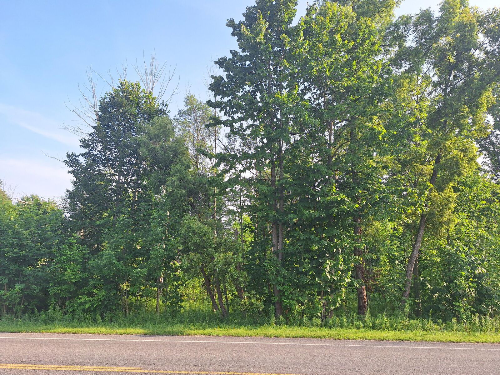 Property Photo: 00 Vl 14 Mile Rd Road MI 49655