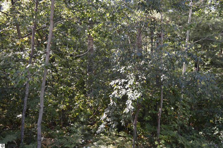 Property Photo:  2040 Driftwood Lane  MI 49646 