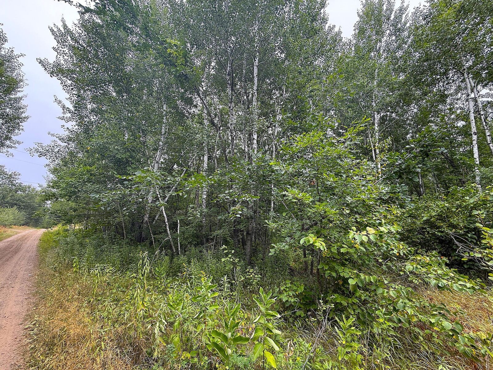 Property Photo: 10046 Legionville Road MN 56401