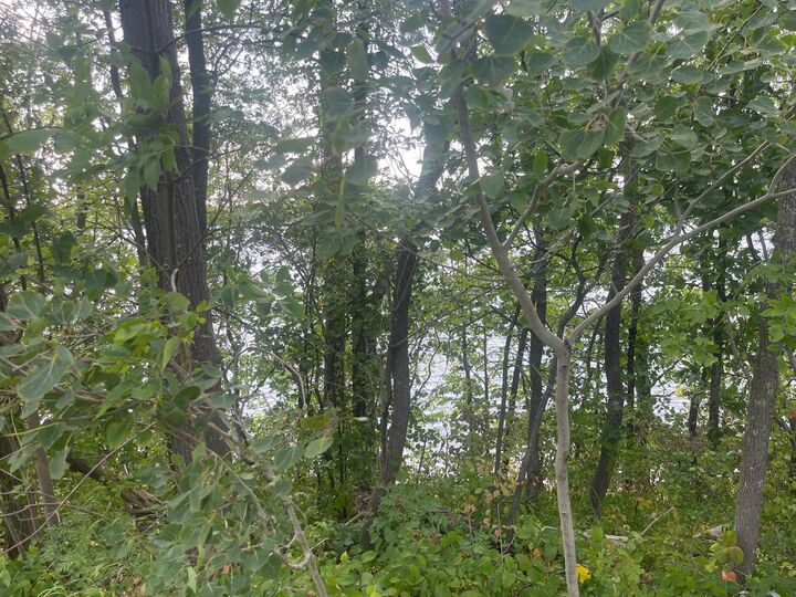 Property Photo:  Tbd Sand Lake Road  MN 55767 