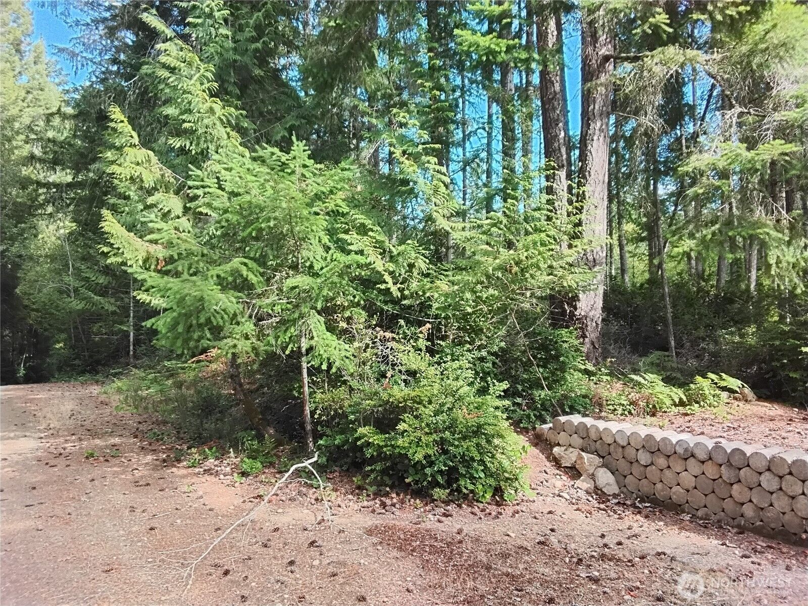 Property Photo:  0 E Frontier Road  WA 98546 