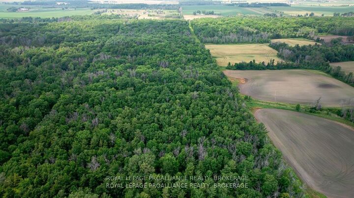 Photo de la propriété:  Lot C Townline Road  ON K0H 1G0 